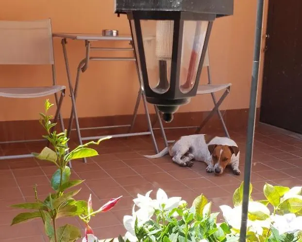 Affittacamere Made In Italy