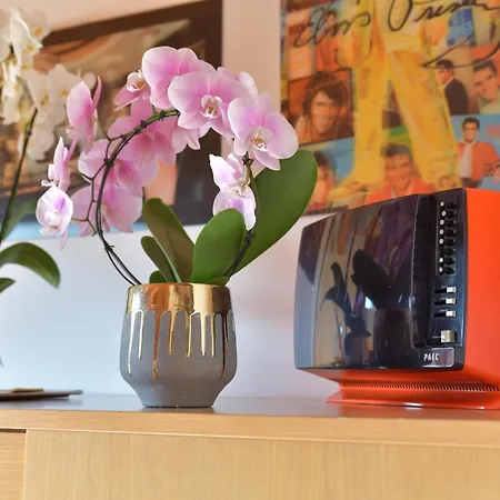 招待所 意大利制造酒店 3*