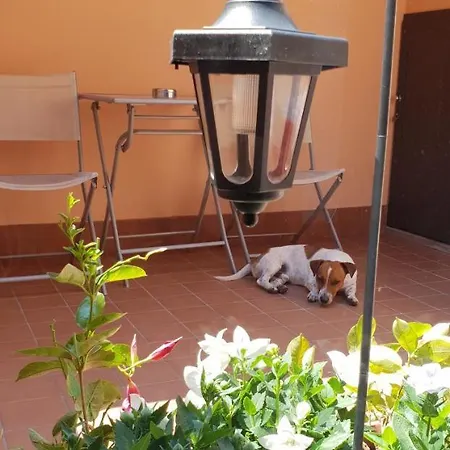 招待所 意大利制造酒店